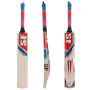 SF Pro Player Cricket Bat Standard Size