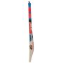 SF Pro Player Cricket Bat Standard Size