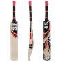 SF Autograph Cricket Bat Standard Size
