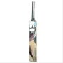 SF Blaster Kashmir Willow Cricket Bat Standard Size
