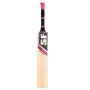 SF Impressive English Willow Bat