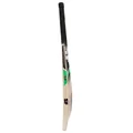 SF Impact Kashmir Willow Bat