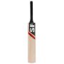 SF GLX 100 Kashmir Willow Bat