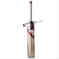 SF Vellum Hide Kashmir Willow Bat
