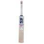 SF Blade 12000 English Willow Cricket Bat