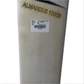 SF Almandus 10000 English Willow Cricket Bat