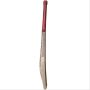 SF Hawk English Willow Cricket Bat