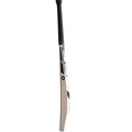 SF Stellar 2000 English Willow Bat (Standard Size Short Handle)