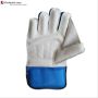 SF Shield Cricket Wicket Keeping Gloves