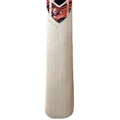 SG Roar English Willow Cricket Bat (Standard Size Short Handle)