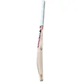 SG Roar English Willow Cricket Bat (Standard Size Short Handle)