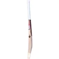 SG RP ICON English Willow Cricket Bat (Standard Size Short Handle)