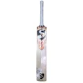 SG RR 9 (Rilee Rossouw) English Willow Cricket Bat (Standard Size Short Handle)