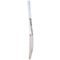 SG RR 9 (Rilee Rossouw) English Willow Cricket Bat (Standard Size Short Handle)