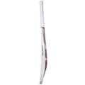 SG Sunny 70 Years Limited Edition English Willow Cricket Bat (Standard Size Short Handle)