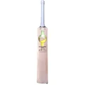 SG Sunny Gold Icon English Willow Cricket Bat (Standard Size Short Handle)