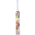 SG Sunny Gold Icon English Willow Cricket Bat (Standard Size Short Handle)
