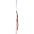 SG Sunny Gold Icon English Willow Cricket Bat (Standard Size Short Handle)