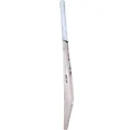 SG Sunny Tonny Arc 4.0 English Willow Cricket Bat (Standard Size Short Handle)