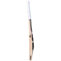 SG Sunny Tonny Icon Black English Willow Cricket Bat