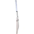 SG TRIPLE CROWN ARC 2.0 English Willow Cricket Bat (Standard Size Short Handle)