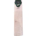 SG RSD Select English Willow Cricket Bat (Standard Size Short Handle)