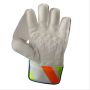 SG R17 Wicket Keeping Gloves