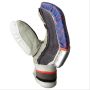 SG RSD Xtreme Junior Cricket Batting Gloves (Right-Handed)