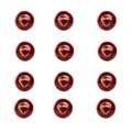 SG Bouncer Cricket Ball 12  Ball set