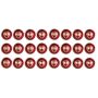SG Test Cricket Ball 24 Ball set