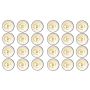 SG Test White Cricket Ball 24 Ball set