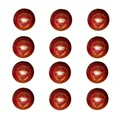 SG Tournament Special Cricket Ball 12 Ball set