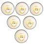 SG Test White Cricket Ball 6 Ball set
