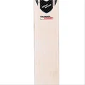 SG Thunder Striker English Willow Cricket Bat