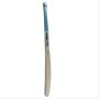 SG Hybrid 20 Ultimate English Willow Cricket Bat
