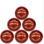 SG Shield 20 Cricket Leather Ball Set of 6