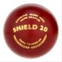 SG Shield 20 Cricket Leather Ball Set of 3