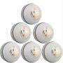 SG Shield 30 White Cricket Leather Ball Set of 6