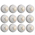 SG Shield 30 White Cricket Leather Ball Set of 12