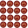 SG Shield 20 Cricket Leather Ball Set of 12