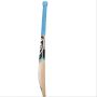 SG Hybrid 20 Xtreme English Willow Cricket Bat