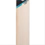 SG Hybrid 20 Xtreme English Willow Cricket Bat
