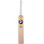 SG IK Xtreme English Willow Cricket Bat