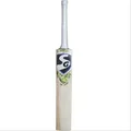 SG HP ICON English Willow Cricket Bat (Standard Size Short Handle)