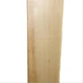 SG HP ICON English Willow Cricket Bat (Standard Size Short Handle)