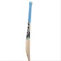 SG Hybrid 20 LE English Willow Cricket Bat
