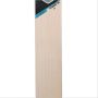SG Hybrid 20 LE English Willow Cricket Bat