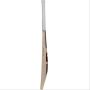 SG Century Classic Traditionally Shaped English Willow Cricket Bat