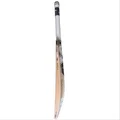 SG Roar LE English Willow Cricket Bat (Standard Size Short Handle)