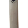 SG Roar LE English Willow Cricket Bat (Standard Size Short Handle)